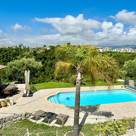 Syagrus - Easy 尼斯