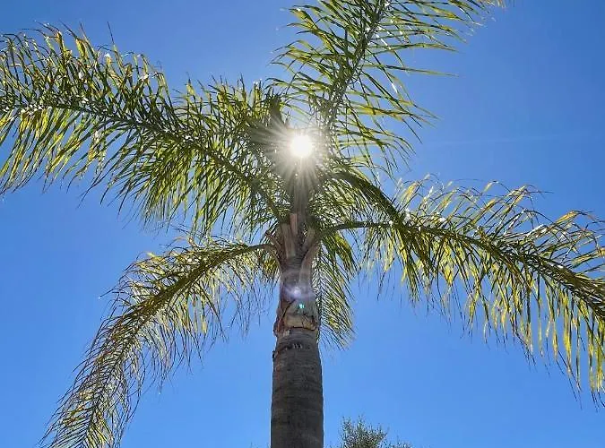 别墅 Syagrus - Easy 尼斯