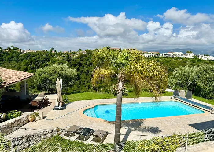 Syagrus - Easy 尼斯