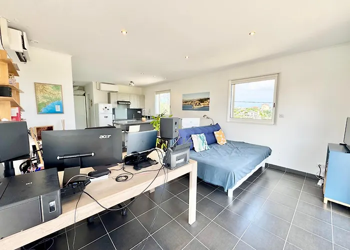 Syagrus - Easy 尼斯